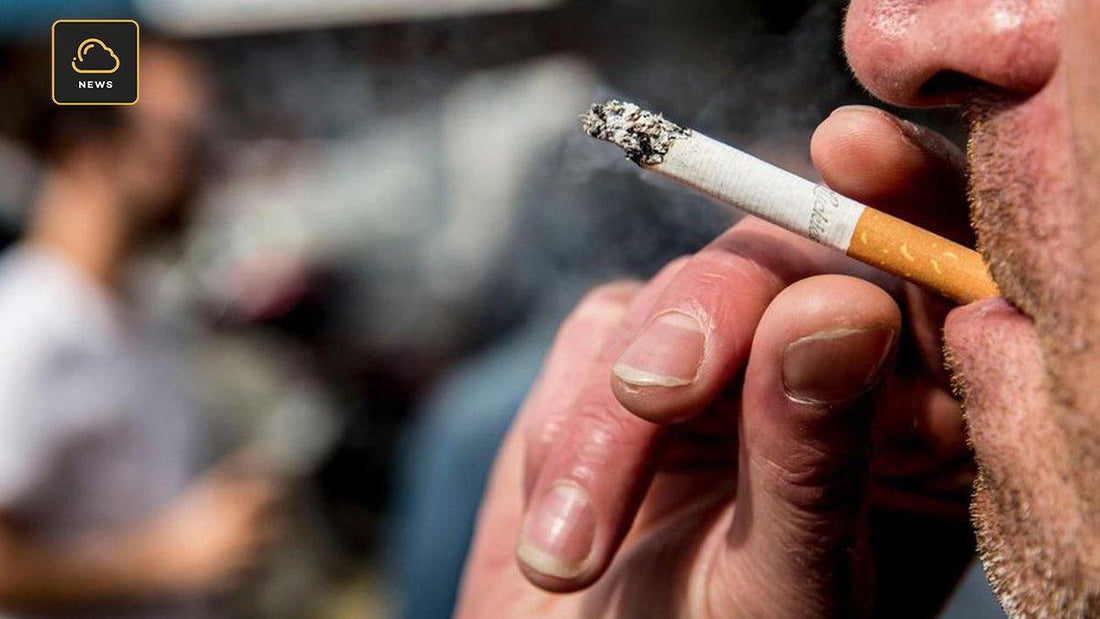 Tabac : sa consommation a explosé pendant le confinement - VAP|LAB Alsace
