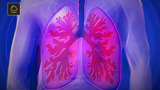 L’incroyable capacité de régénération des poumons après l’arrêt du tabac - VAP|LAB Alsace