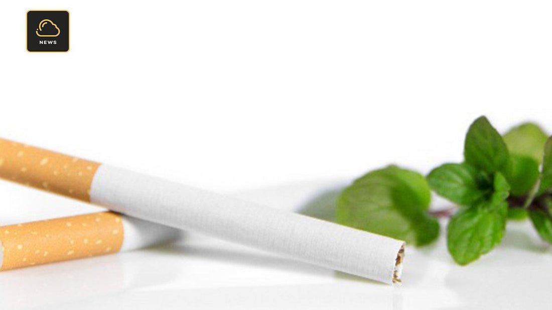 Interdiction des cigarettes mentholées : un grand nombre de fumeurs pourrait en profiter pour passer à la vape - VAP|LAB Alsace