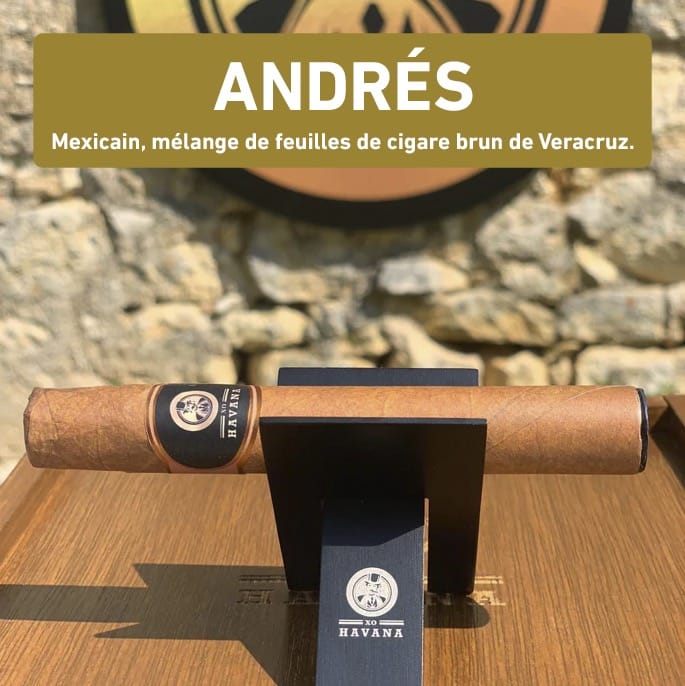 ANDRES Puff E-Cigar 600 20mg